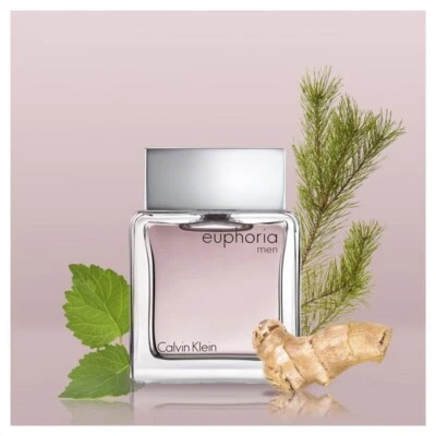 Calvin Klein Euphoria for Men Eau de Toilette 100ml CK Perfume EDT EDP Mens - image 1 of 3
