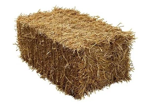 Fleet Farm Barley Straw Bale - Feed Quality - Ideal for Horses and other pets