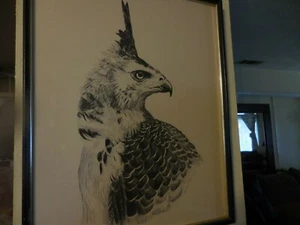 Litografía de colección dibujo a lápiz edición limitada 1/100 de EAGLE firmada por Michael Harrison - Imagen 1 de 12