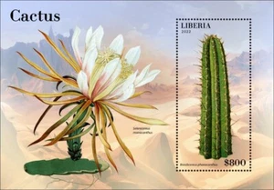 Cactus Plant Flora MNH Stamps 2022 Liberia S/S - Picture 1 of 1