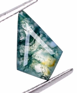 Brilliant Cut Moss Agate Kite 12X8mm Loose Rare Gemstone Birthday Gift  1.60 Ct - Picture 1 of 6