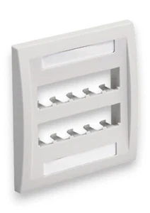 Panduit CFPE10WH-2GY 10-Port Mini-Com Faceplate Executive Series White - Picture 1 of 3