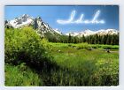 McGowan Peak Idaho Vintage 4x6 Postcard BRY75E