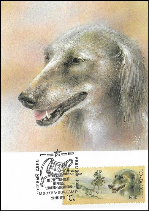 Tarjeta Maxi FDC 1988 Kirguistán Taigan Mountain Sighthound Dog Rusia Como Nueva Foto 1 de 1