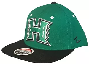 Cappello Berretto Hawaii Rainbow Warriors di Zephyr NCAA Originale Snapback XL Logo Adj. - Foto 1 di 5