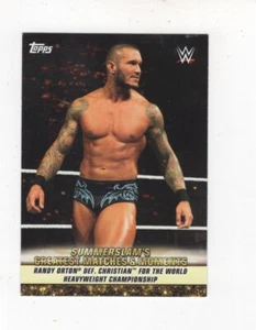 Randy Orton 2019 Topps WWE Summerslam Greatest Match #gm-31 - Imagen 1 de 4