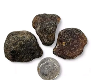 Lote de 3 ejemplares ámbar copal México 13,7 gramos grandes ejemplares - Imagen 1 de 1