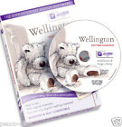 Płyta Docrafts Wellington Bear Past Times kolekcja CD Rom. Digital designer DVD