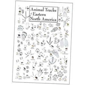 Earth Sky + Water - Animal Tracks of Eastern North America - Póster - Imagen 1 de 2