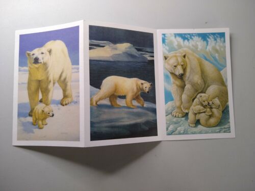 Postcard Folder - Polar Bears