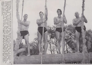 1966 Pressefoto Shirtless Tarzan Schauspieler Weissmüller, Mahoney, Ely und Pierce - Bild 1 von 2