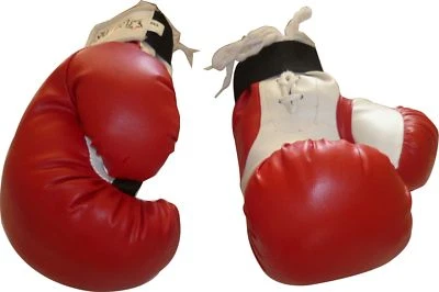 10X - 10 OZ 08 OZ Performance Boxing GYM Gloves Mitts Punch PAY LESS BUY BULK  - image 1 of 4