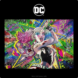 🔥DISPLATE® LIMITED EDITION ?/1000 | DC COMICS® - HARLEY QUINN | NEU & OVP - Imagen 1 de 3