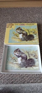 Victory Nature Series Squirrel jigsaw puzzle 1970s 12 Piece - Picture 1 of 4