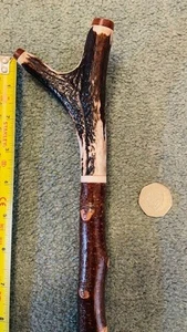 STAG HORN THUMB / WALKING STICK BLACKTHORN SHANK - Picture 1 of 5