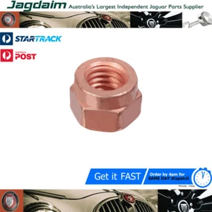 New Jaguar X-Type 2.0 Litre Petrol 7 Diesel Nut Exhaust Copper Plated C2S1059 - Picture 1 of 1