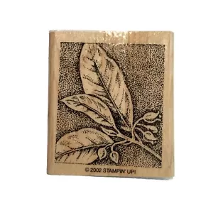 Stampin' Up Leaves Leaf Berries Vintage 2002 Pretty Greenery Timbro posteriore in gomma legno - Foto 1 di 4