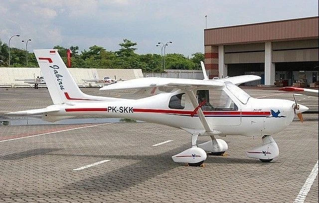Jabiru J-200 Ligero Deportivo Construido en Casa Avión Escritorio Madera Secada al Horno Modelo Pequeño Foto 1 de 1