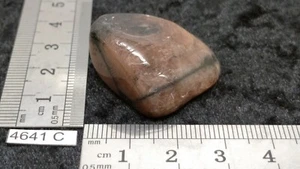 CHIASTOLITH ANDALUSIT - Natur Rollstein - Mineralien Lithotherapie Reiki - Bild 1 von 4