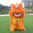 中国舞狮 Children's lion costume Chinese Folk Lion Dance Student Mascot Costume Gift