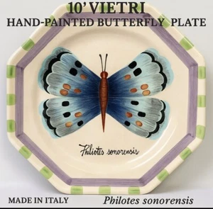 Vietri Italian Hand-Painted Butterfly Plate – Philotes sonorensis – Octagon 10” - Picture 1 of 6