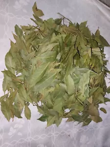 Natural Organic Dry/Dried Bay Leaves/Leaf Herb aromatic/culinary/pickling 200 gr - Picture 1 of 12