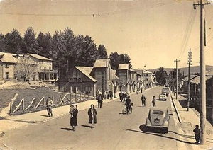 4896) SILA, CAMIGLIATELLO SILANO (REGGIO CALABRIA), ANIMATA, AUTOMOBILI. VG 1962 - Picture 1 of 2
