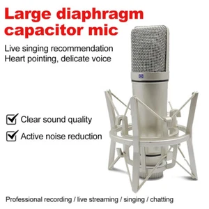 Condenser Microphone With Shockmount For Vocal Music Studio Sound - Picture 1 of 6
