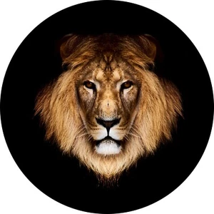 Lion Head Spare Tire Cover All Sizes-back up camera optional - Picture 1 of 6