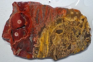 WRG- Galaxy Rhyolite Slab 66 grams Mexico Lapidary agate jasper rhyolite - Picture 1 of 4