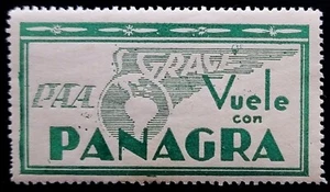 Vintage PAA GRACE Panagra PAN AMERICAN AIRLINE luggage label - Bild 1 von 2