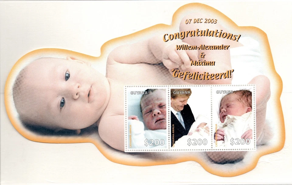 GUYANA 2003 NACIMIENTO DE LA PRINCESA CATARINA - HOJA AMALIA DE LOS PAÍSES BAJOS MNH Foto 1 de 1