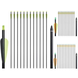 32" Archery Hunting Fiberglass arrows for Compound Recurve Bow Replaceable Tips - Picture 1 of 40