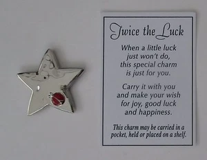 VTOP TWICE THE LUCK STAR Ladybug joy good luck POCKET TOKEN lucky charm ganz - Picture 1 of 9