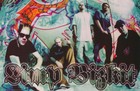 POSTER : MUSIC: LIMP BIZKIT - GRAFFITI  -  FREE SHIP  #6185