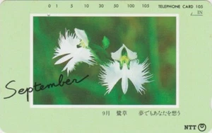 Télécarte JAPON - SERIE MOIS & FLEUR SEPTEMBRE ORCHIDEE  FLOWER JAPAN & MONTH pc - Imagen 1 de 1