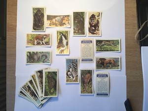 1962 - African Wildlife - Brooke Bond Tea Cards - Complete Set 50