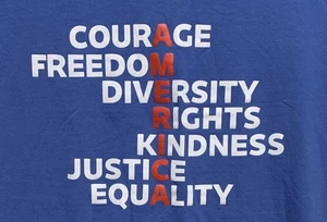 T-Shirt MED "American Values" T-Shirt - Bild 1 von 2