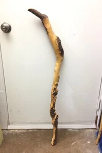 NATURAL ORNATE WOOD WALKING STICK / CANE - Picture 1 of 11