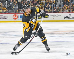 kris letang stadium series jersey