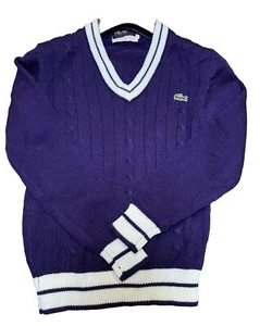 Izod Lacoste Vintage Boy’s Knit Sweater V-Neck Purple Size Youth 16 - Picture 1 of 7