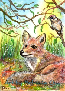 ACEO LE Art Card Print 2.5x3.5" " Fox Resting With Sparrow " Art by Patricia - Foto 1 di 1