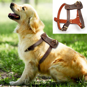 Heavy Duty Leather Dog Harness Adjustable for Pit Bull Rottweiler Boxer Labrador