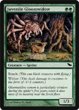 JUVENILE GLOOMWIDOW X4 4 4X Shadowmoor MTG Magic the Gathering Cards DJMagic