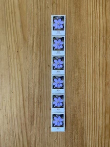 Bund Blumen 6er Streifen Übergang MiNr 2485 Leberblümchen postfrisch ** Rolle - Bild 1 von 2