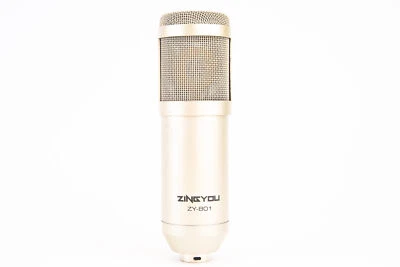 ZINGYOU ZY-801 Professional Studio Cardioid Microphone V24 - Image 1 of 4