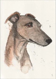 Original Signed Watercolour And Ink Painting Of A Greyhound Dog Portrait A4 - Picture 1 of 3