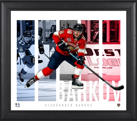 Aleksander Barkov Florida Panthers Framed 15x17 Player Panel Collage Cover