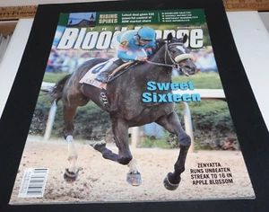 Blood Horse Magazine - ZENYATTA Cover - Sweet Sixteen - Apple Blossom - Picture 1 of 3
