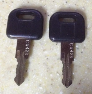 *NUEVO* 2x FIC LLAVES DE REPUESTO CW428 FASTEC RV cámper remolque Moterhome - Imagen 1 de 1